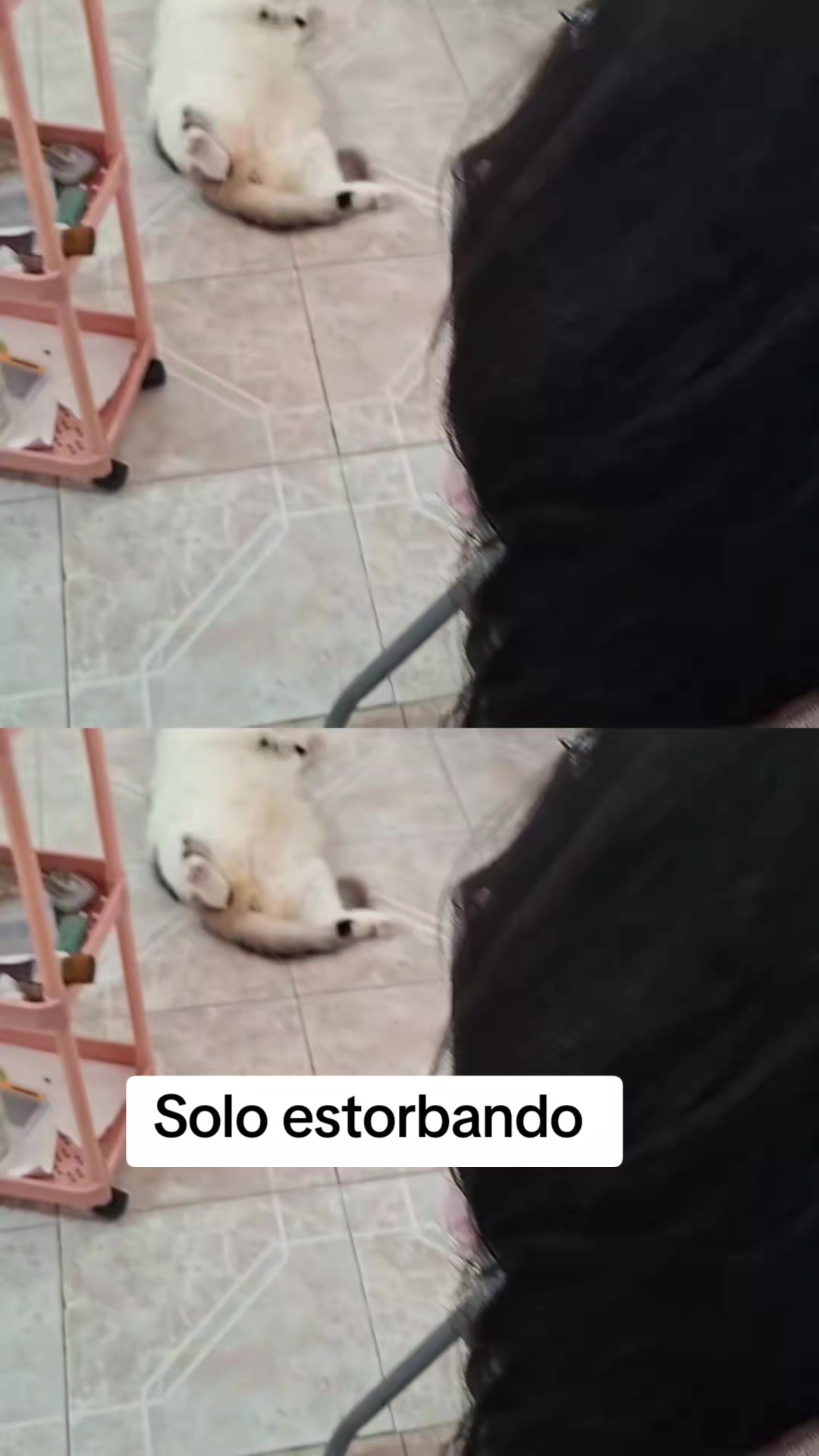 @Nel