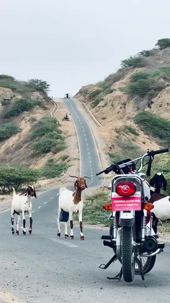 @- 𝓝𝓲𝓴𝓴𝓪 𝓚𝓱𝓪𝓷-~🚩