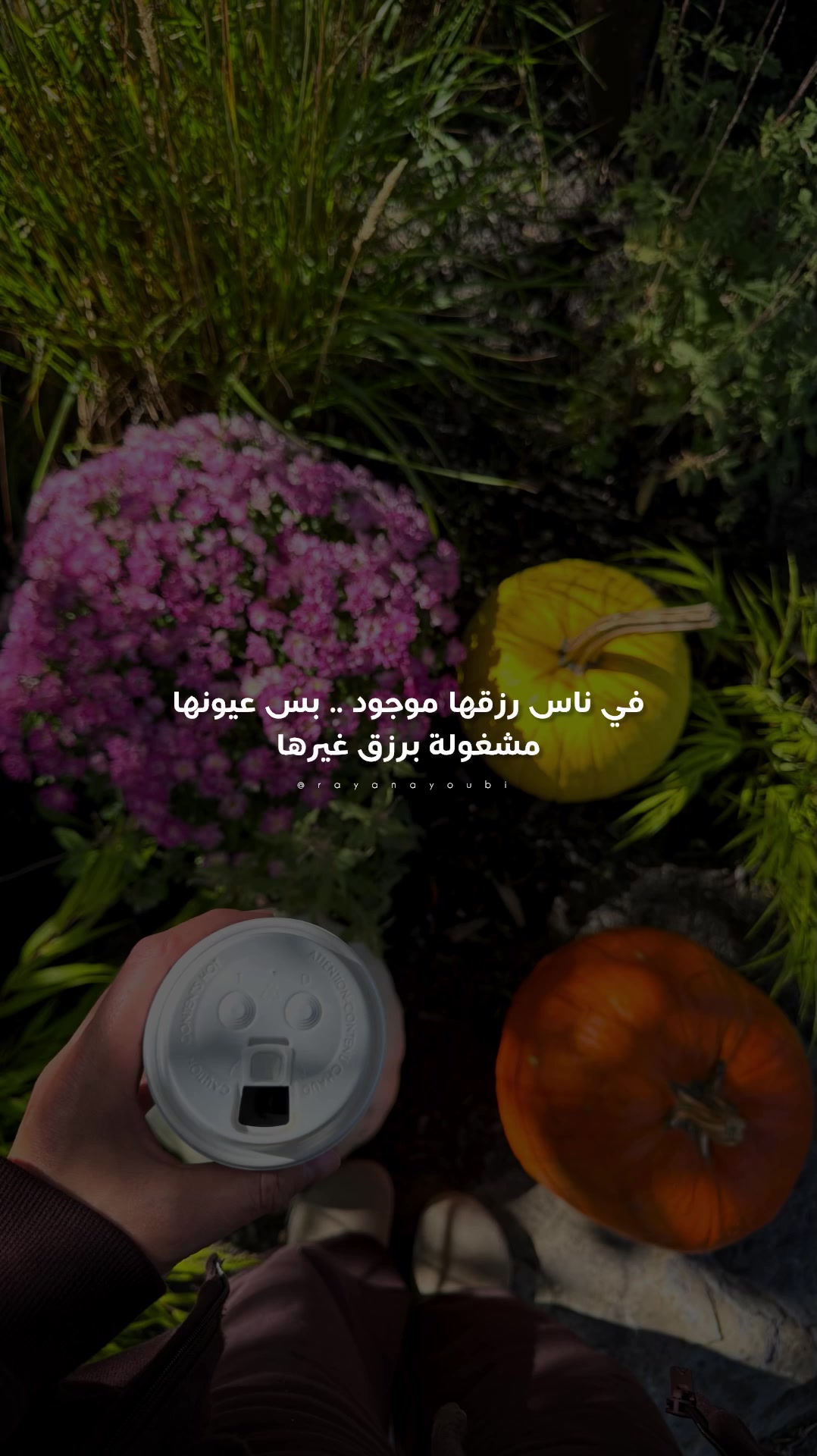 @Rayan El Ayoubi