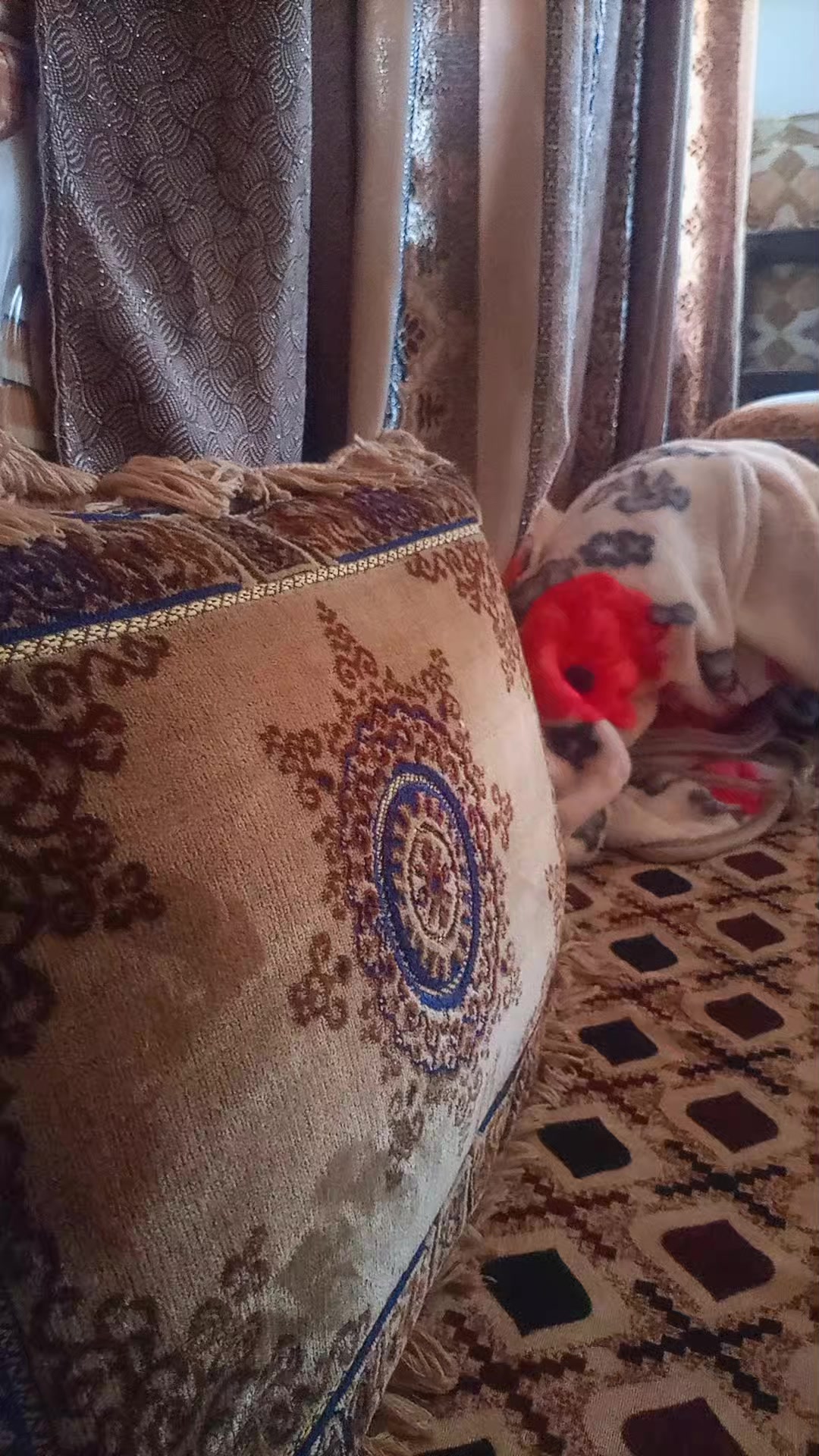 @ننـَووَش:𓆩𝐍