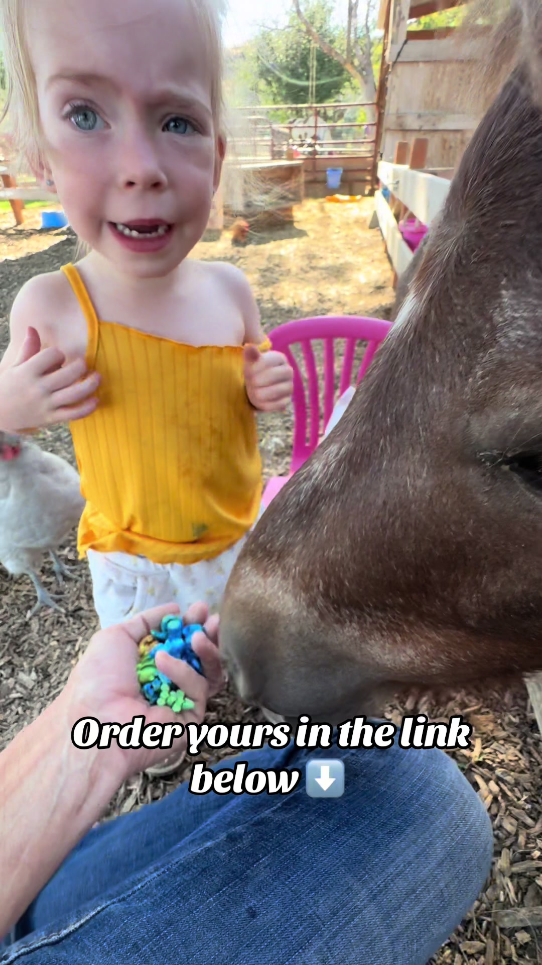 @Hot Sauce the Mini horse 🐎