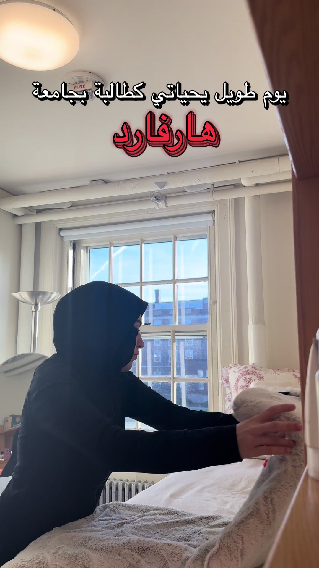 @shamqarqour