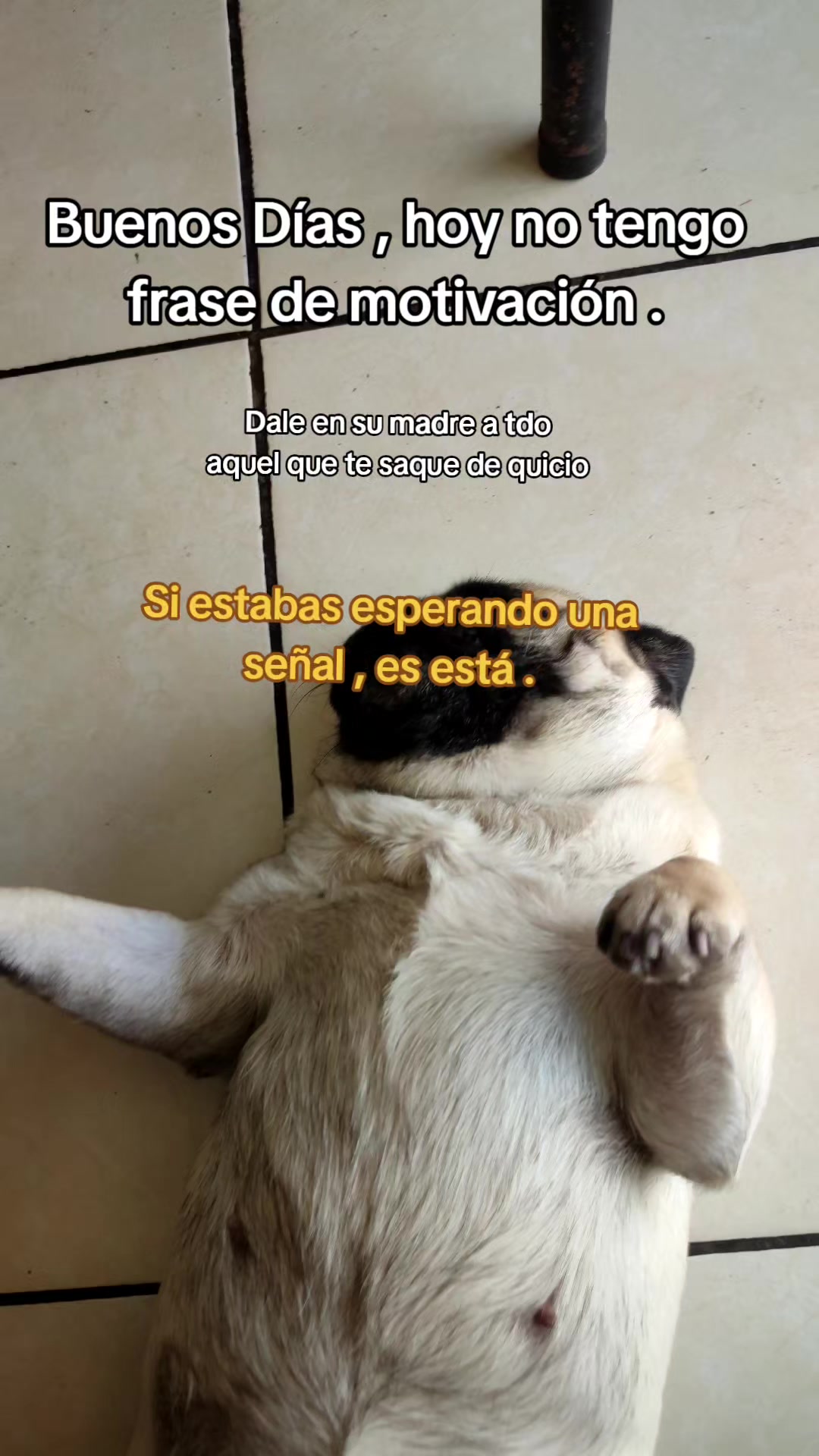 @< "El ">. 😱 (KEVIN) 🤯👿