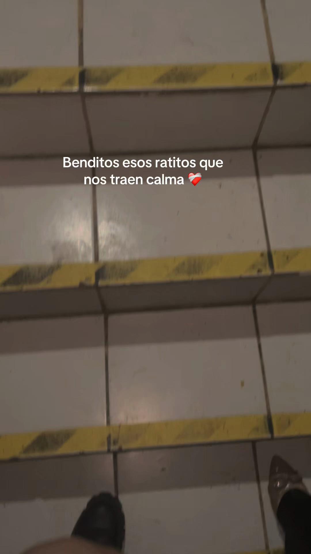 @palomavalenciamonreal