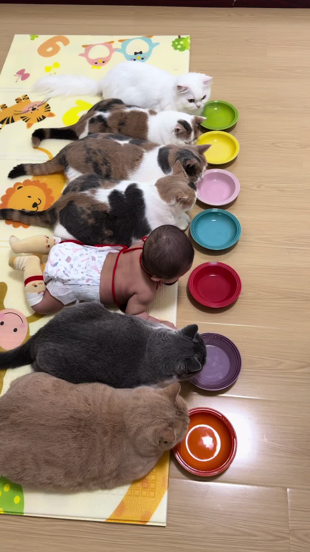 @啊痴