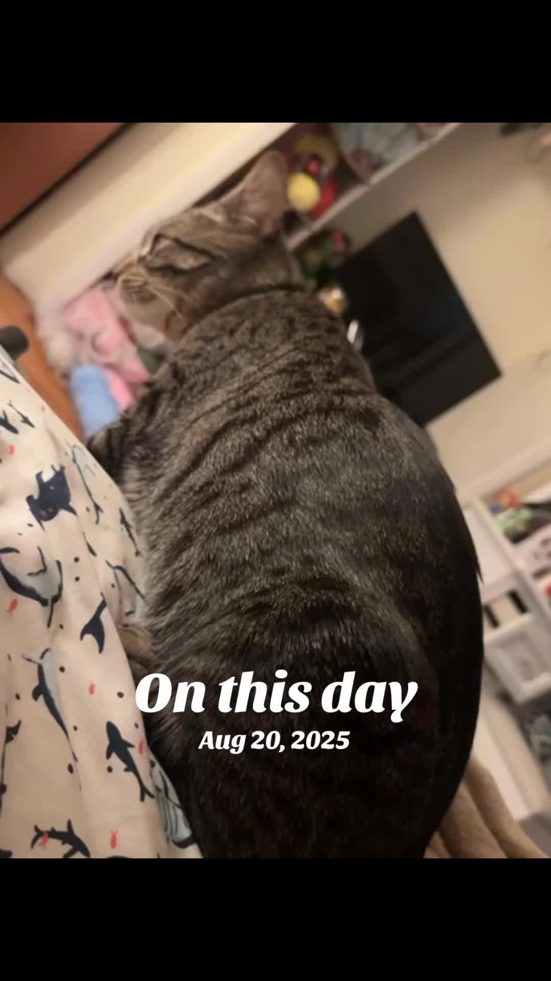@Ellen<3