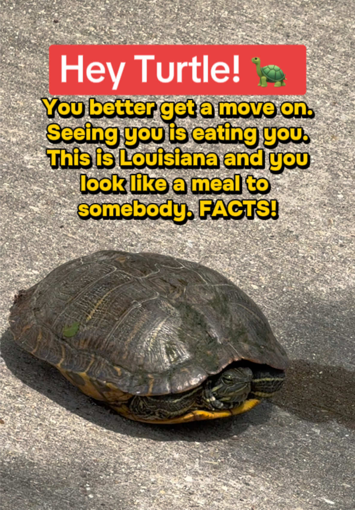 @StacKingDollars30