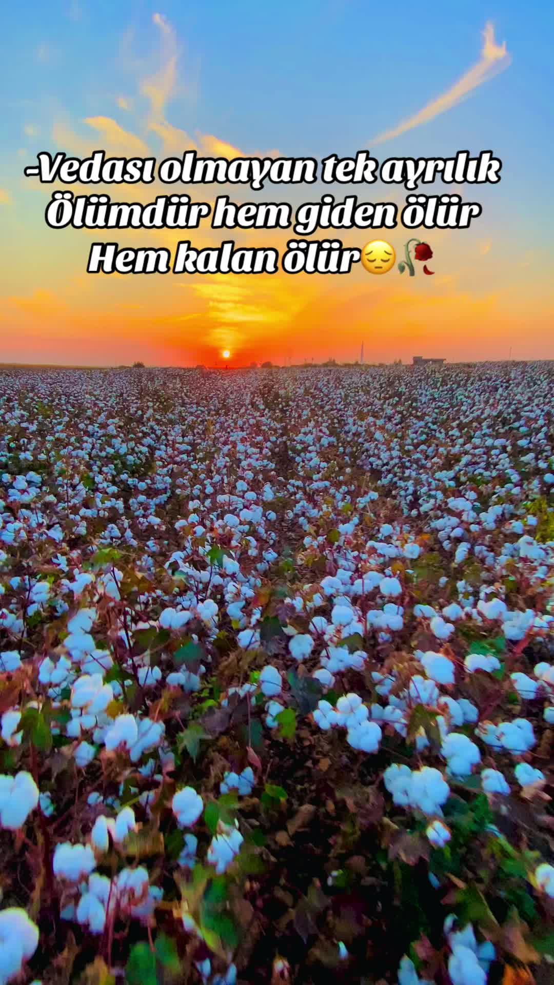 @idan baraç