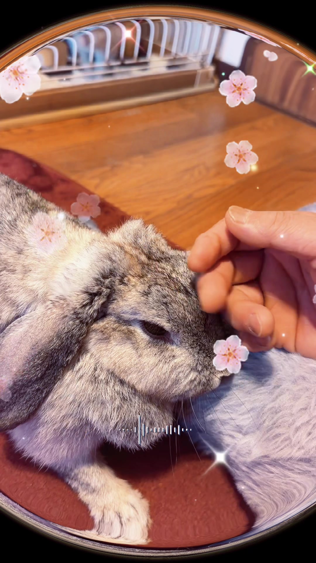 @yoshizz