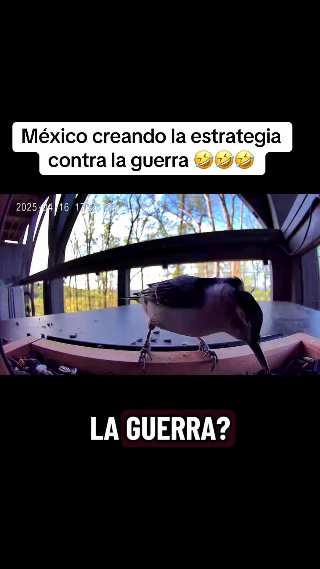 @Guzm&aacute;n