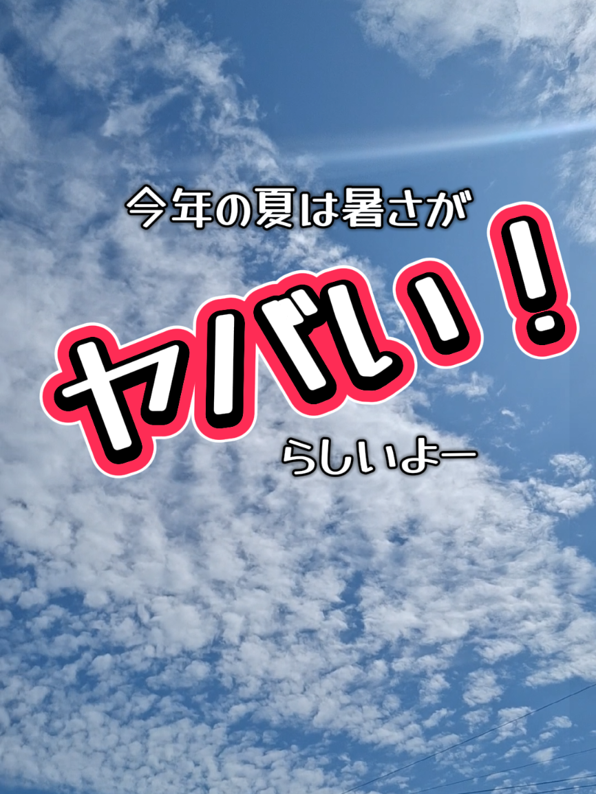@👑HAL'S Group👑 代表 HAL