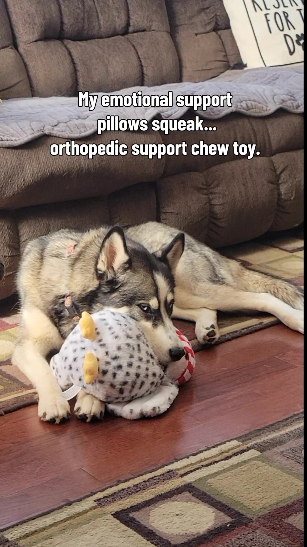 @the Hussey Husky ❌️