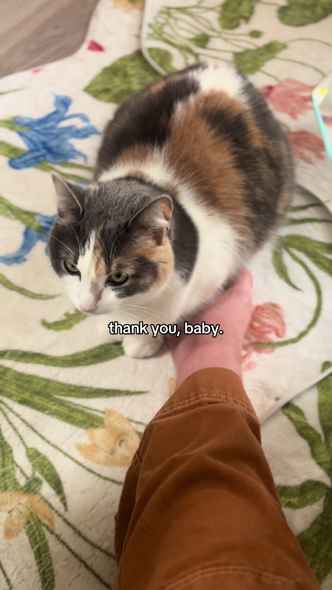 @Chester and Humans