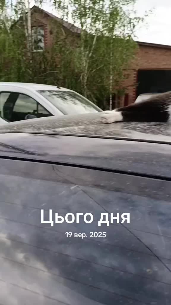 @Сокур НадіЯ