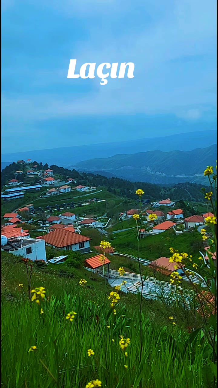 @shah_cake