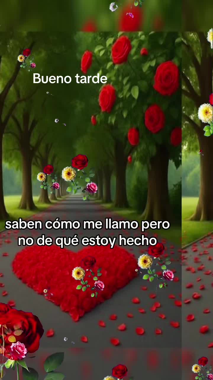 @carolicorniel6