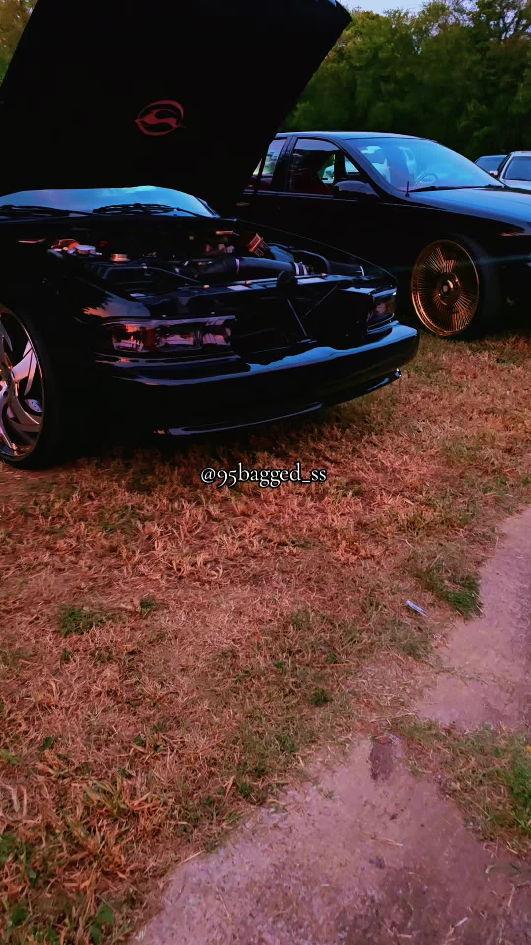 @95bagged_ss