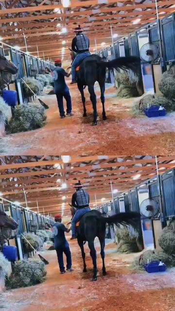 @morfeo 🐦⬛🏇🌾