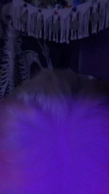 @Slwlydrftng