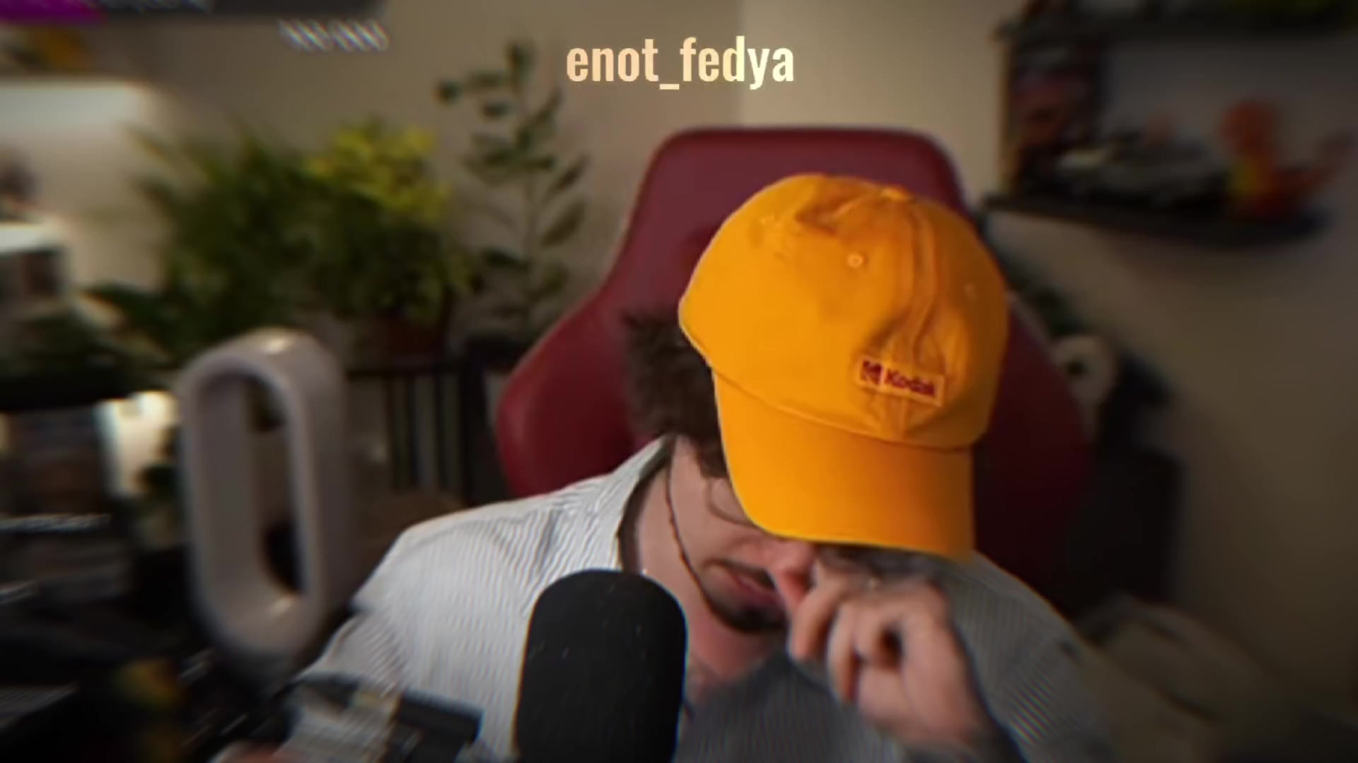 @☆Енотик федя☆
