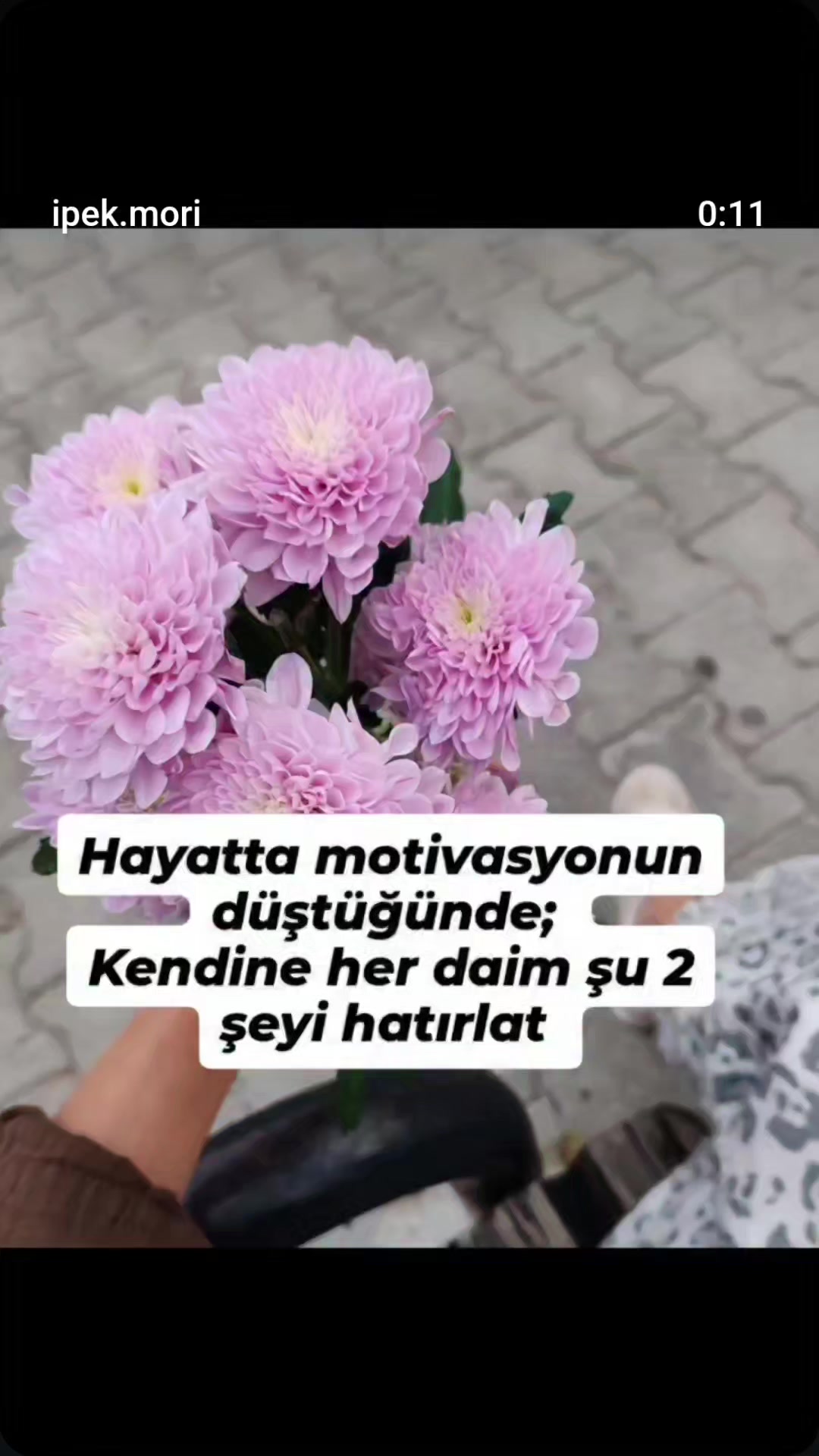 @ipekmori