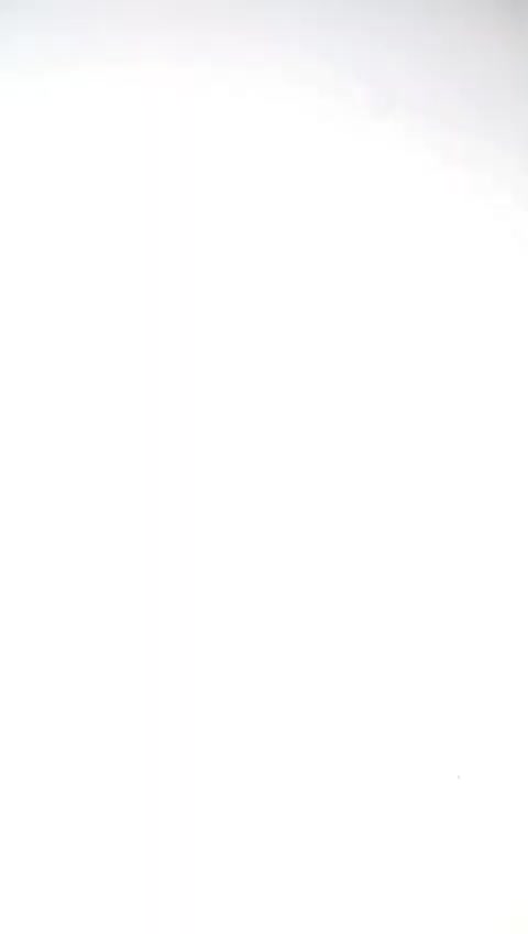 @ℬ𝓇𝒾𝒶𝓃𝒶𝒶
