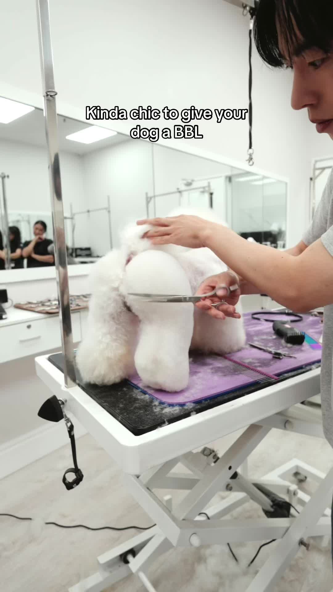 @NorCal Grooming Academy