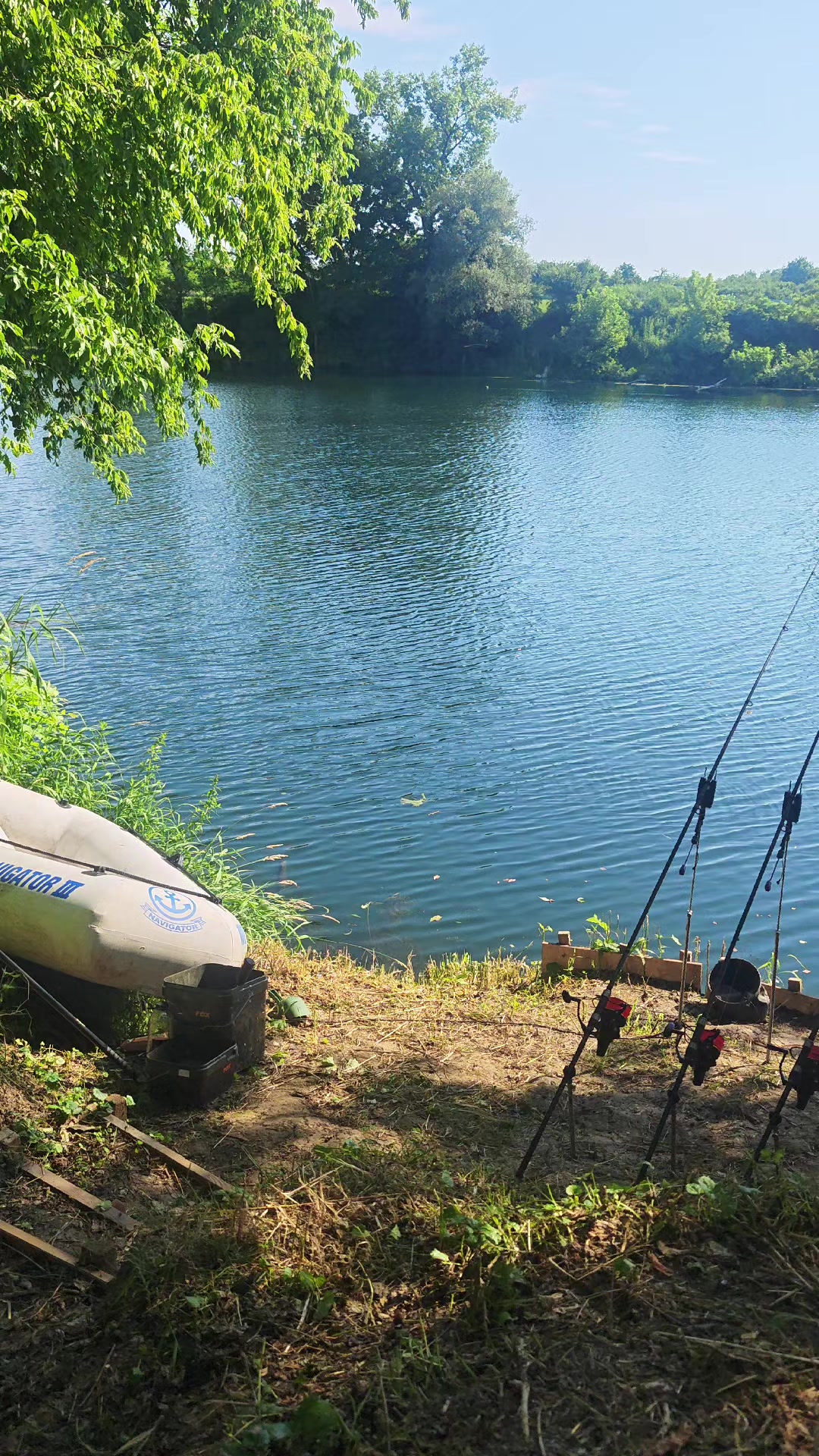 @Carp Passion -Marac