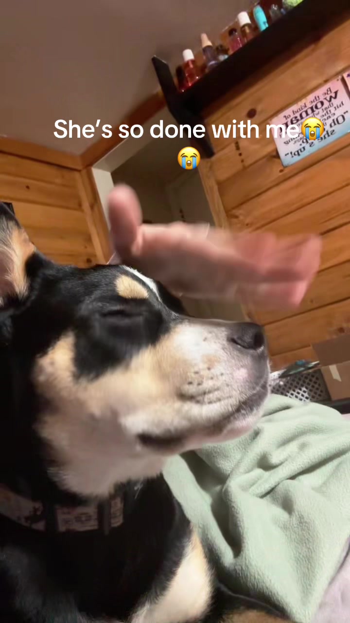 @emily