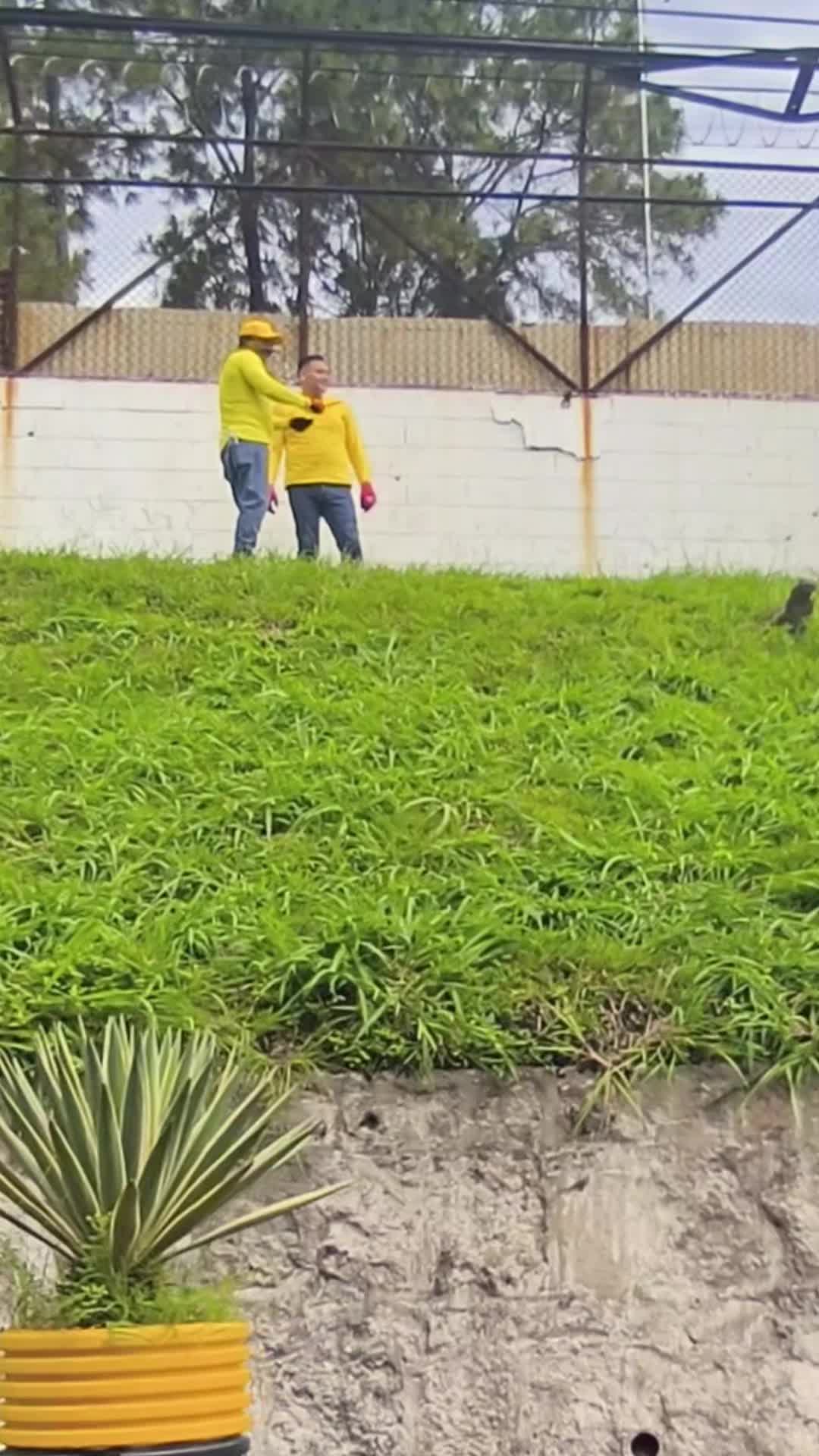 @El Salvador 503 🇸🇻