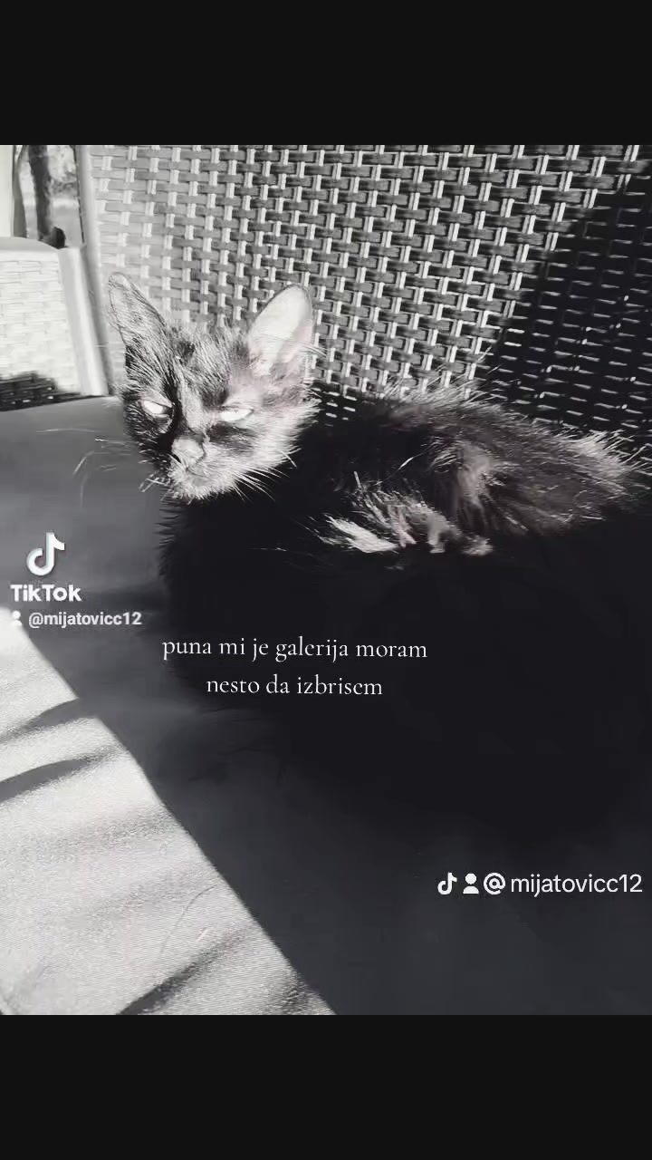 @Николина Мијатовић