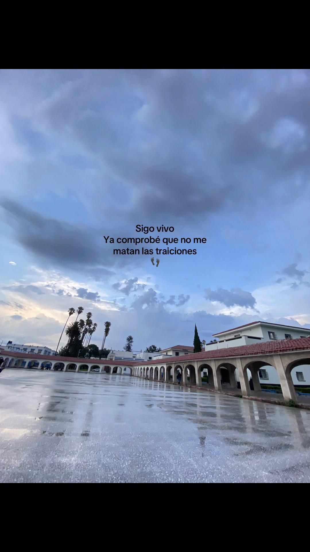 @Sofi Mora
