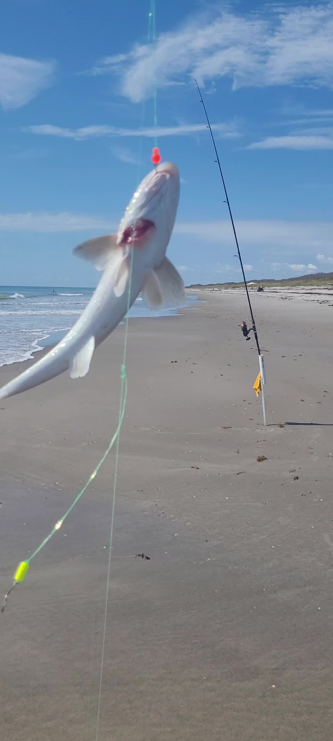 @Ghost of Space Coast Fishing
