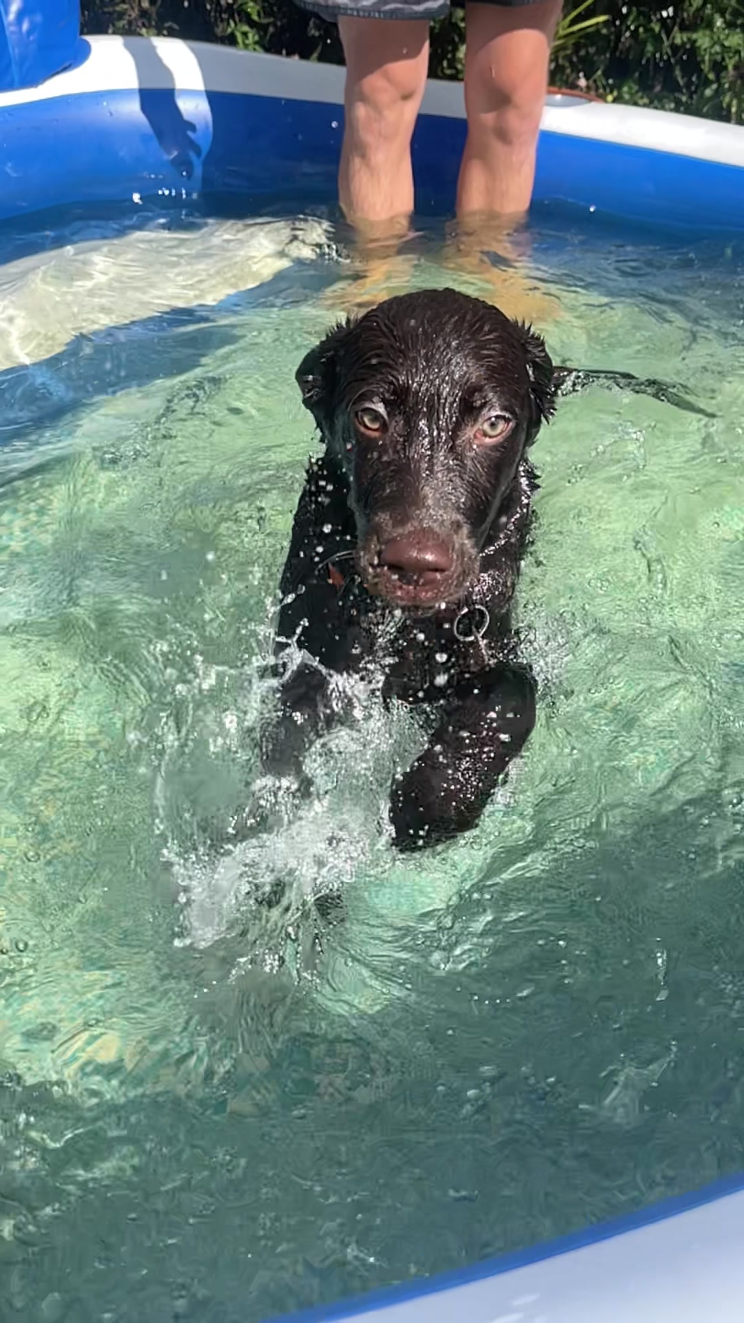 @guinness_beau
