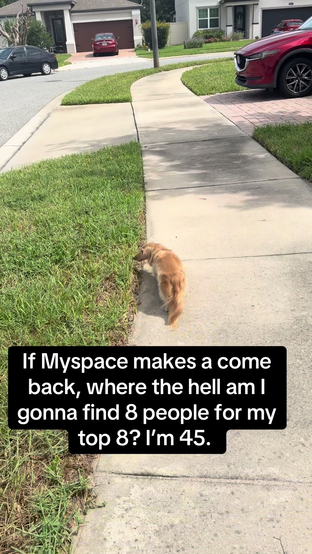 @Jodie