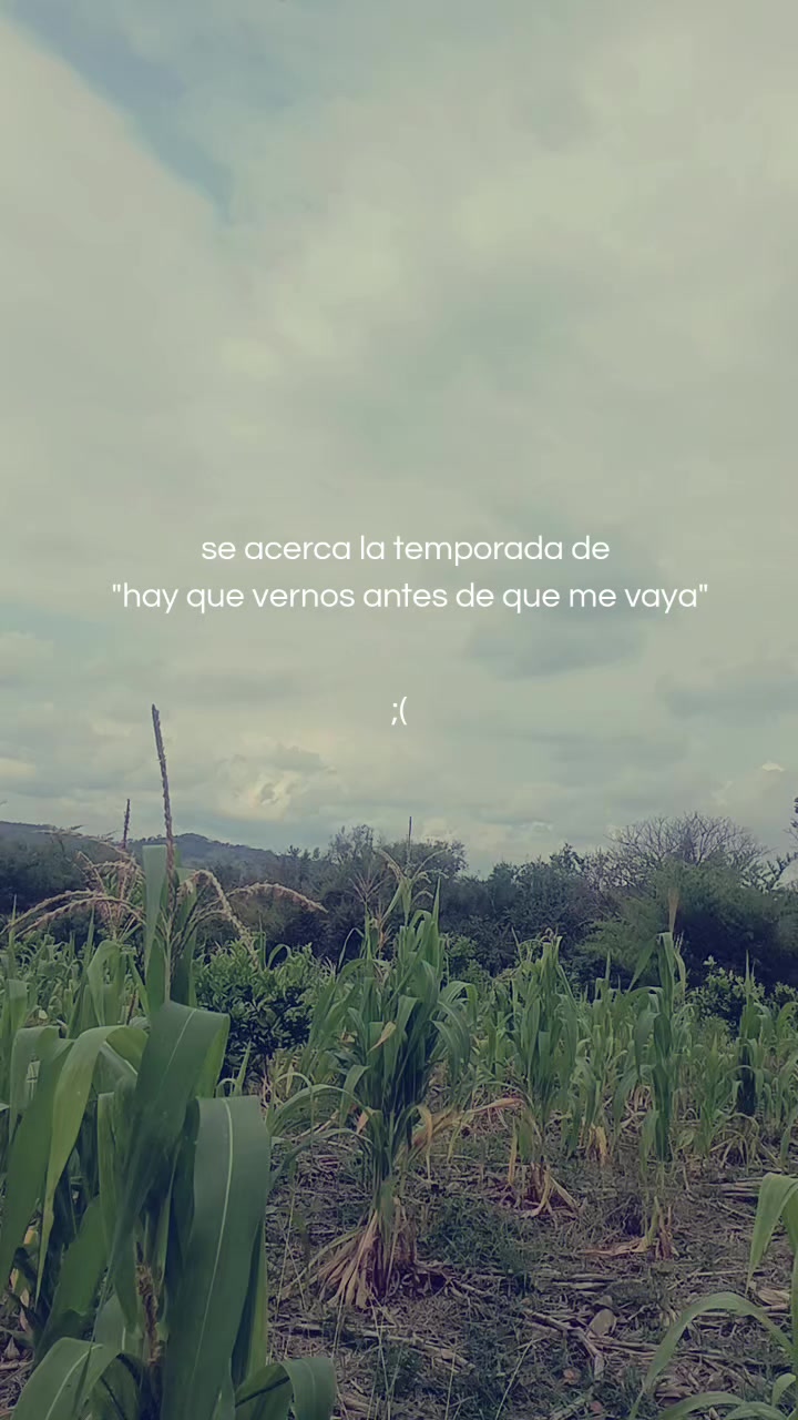 @XLs_.Mayito777ᴹᴿ&deg;᭄🤍🧸