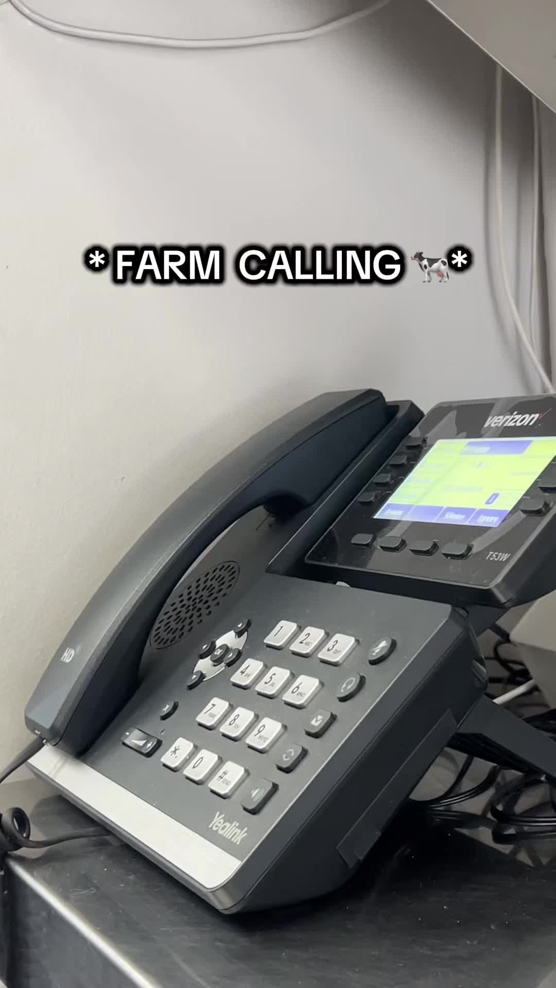 @Chinosfarmfreshdairy