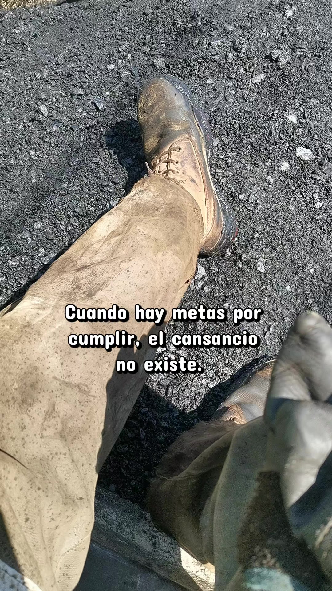 @Flakito 🔱