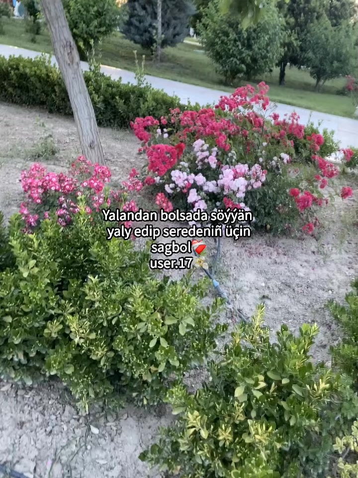 @user.17💸