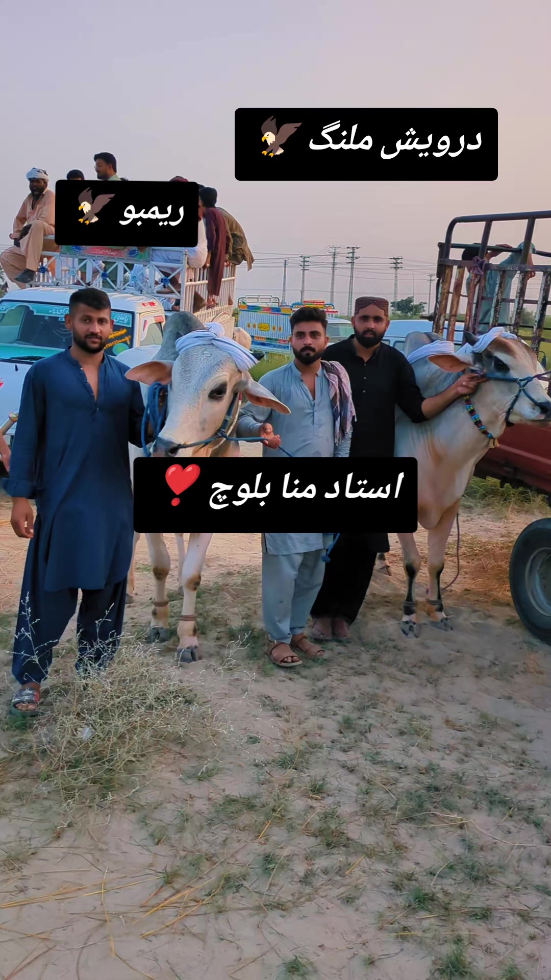 @چوہدری شاہد سلیم مڑل