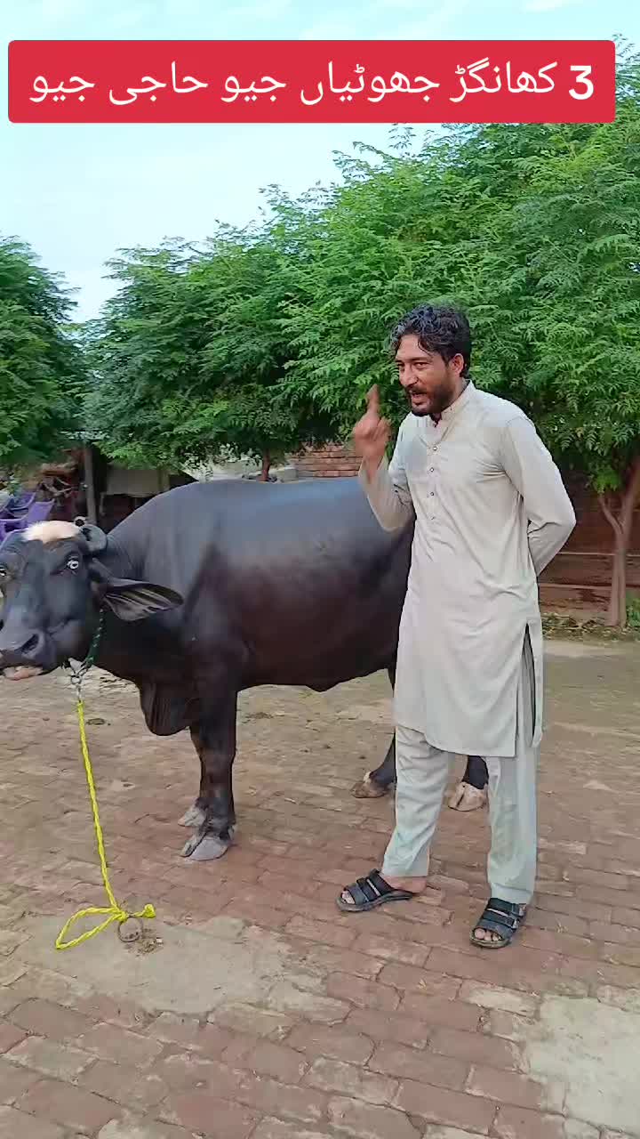@Farming and Business Ideas