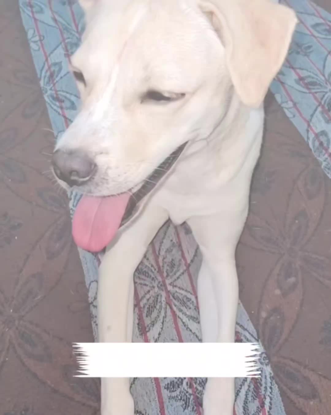@My funny video