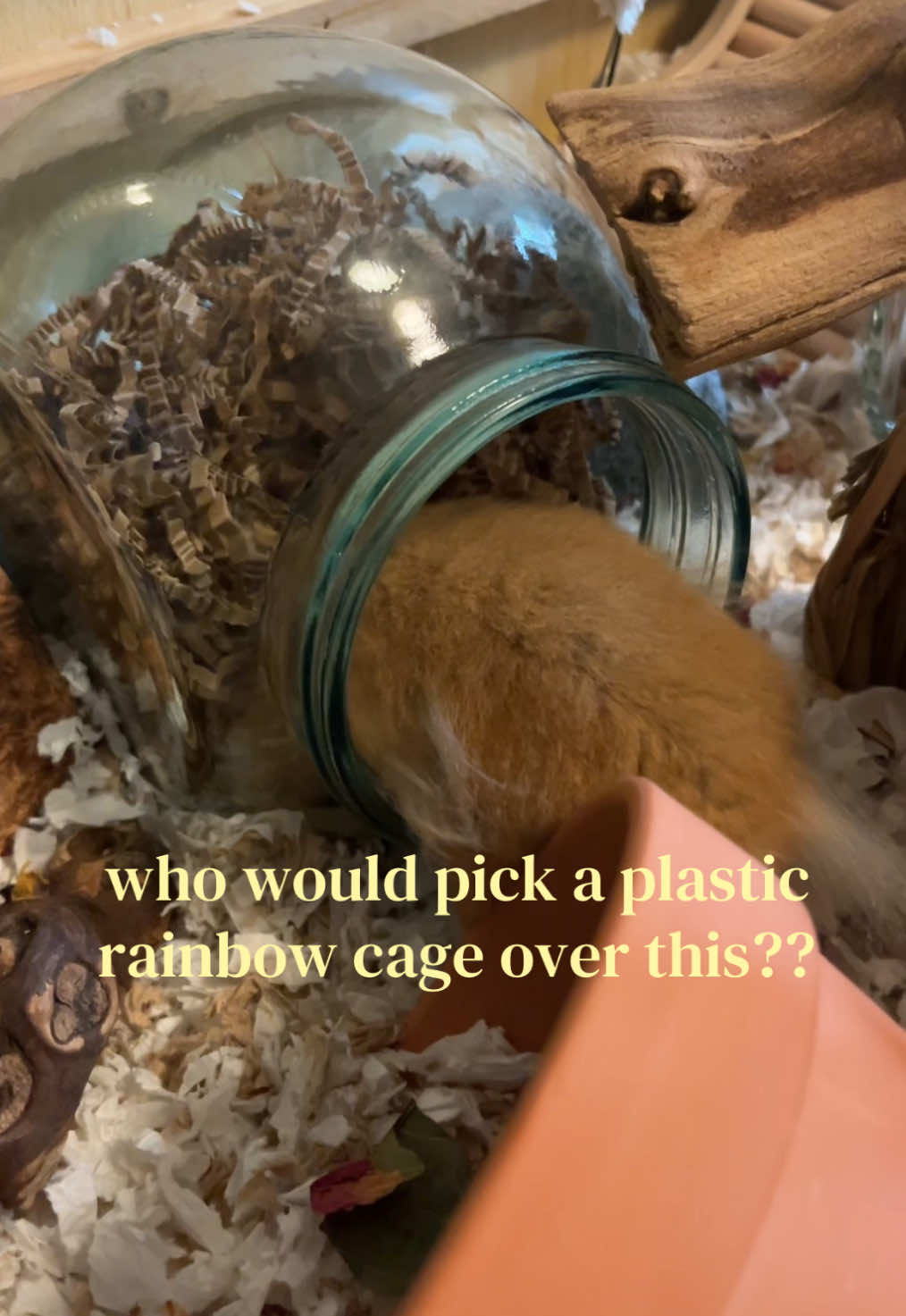 @ɪꜱʟᴀ