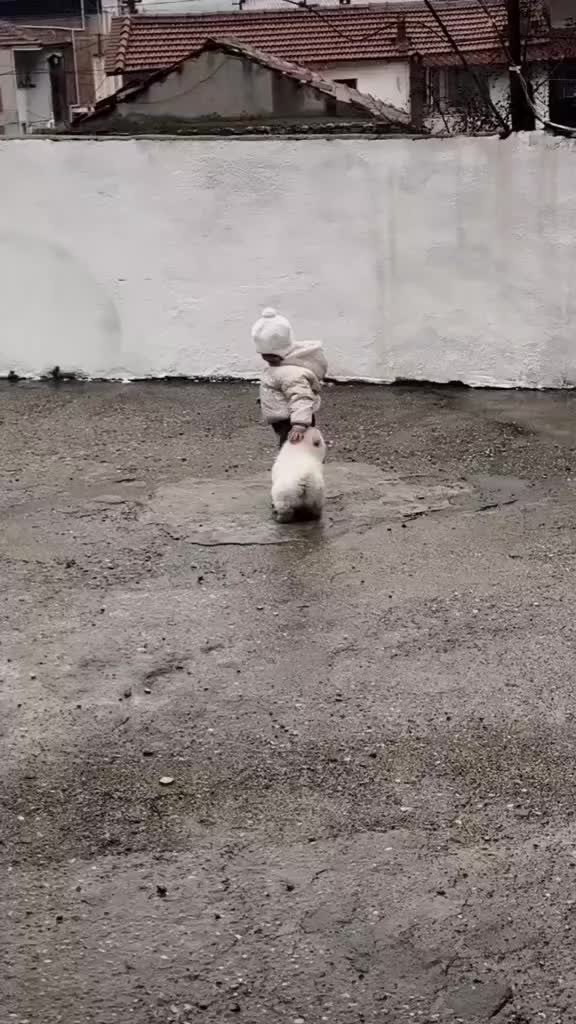 @𝓘̇