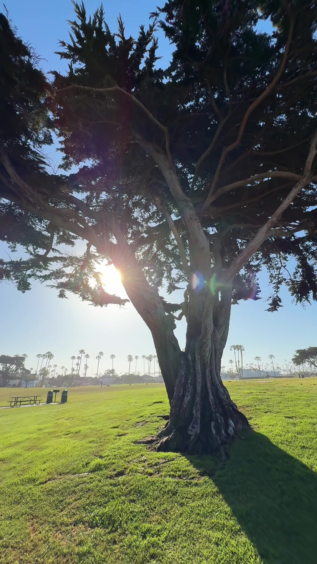 @Visit Ventura