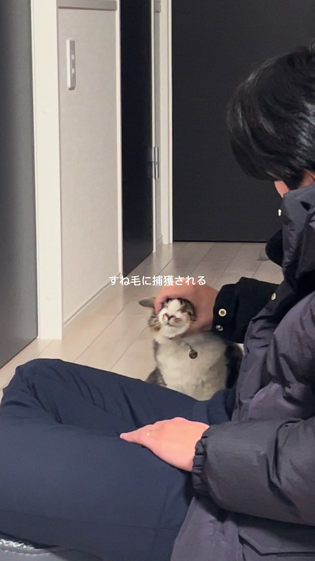 @ほたてくん