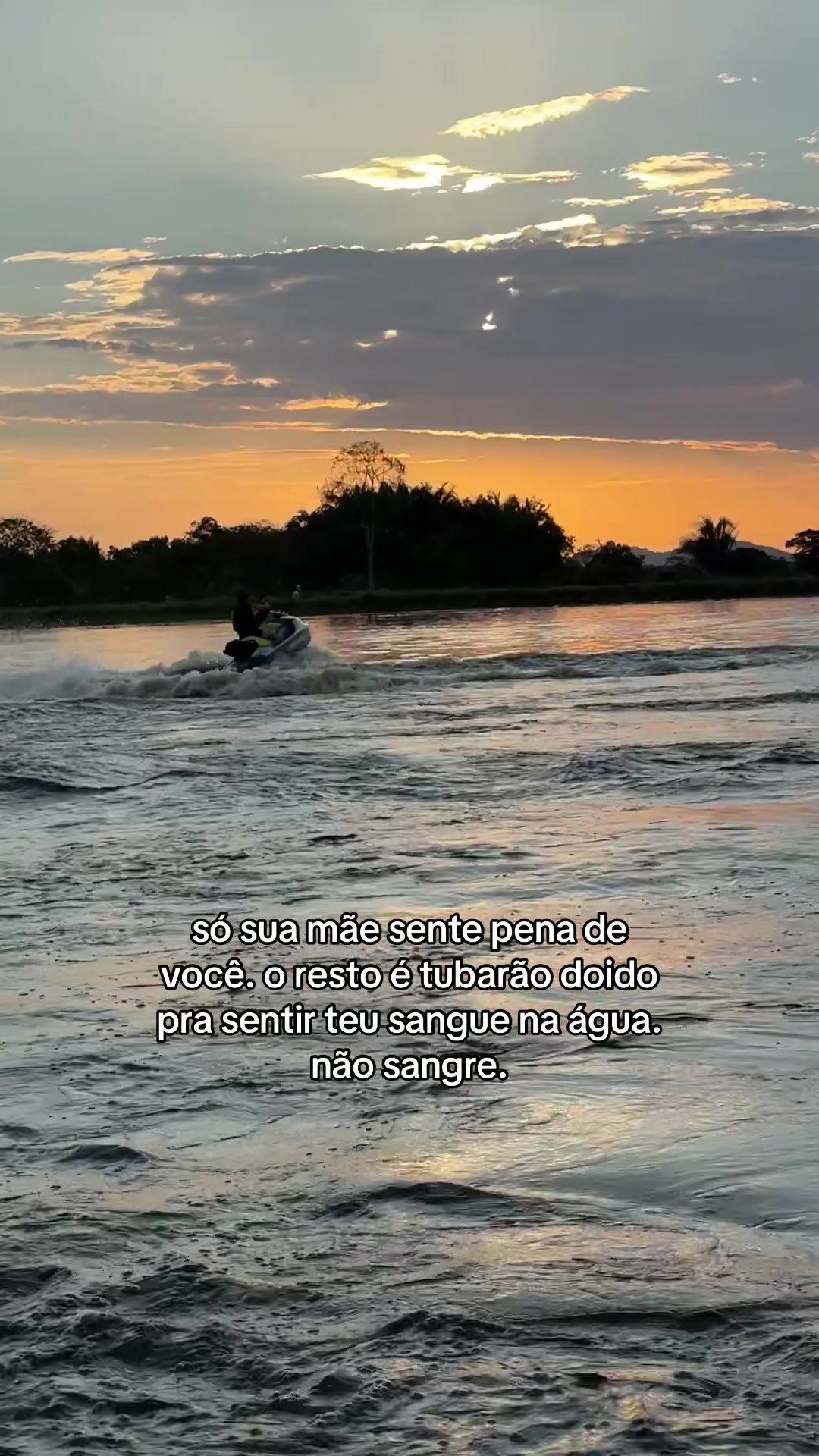 @Alessandra Rozany