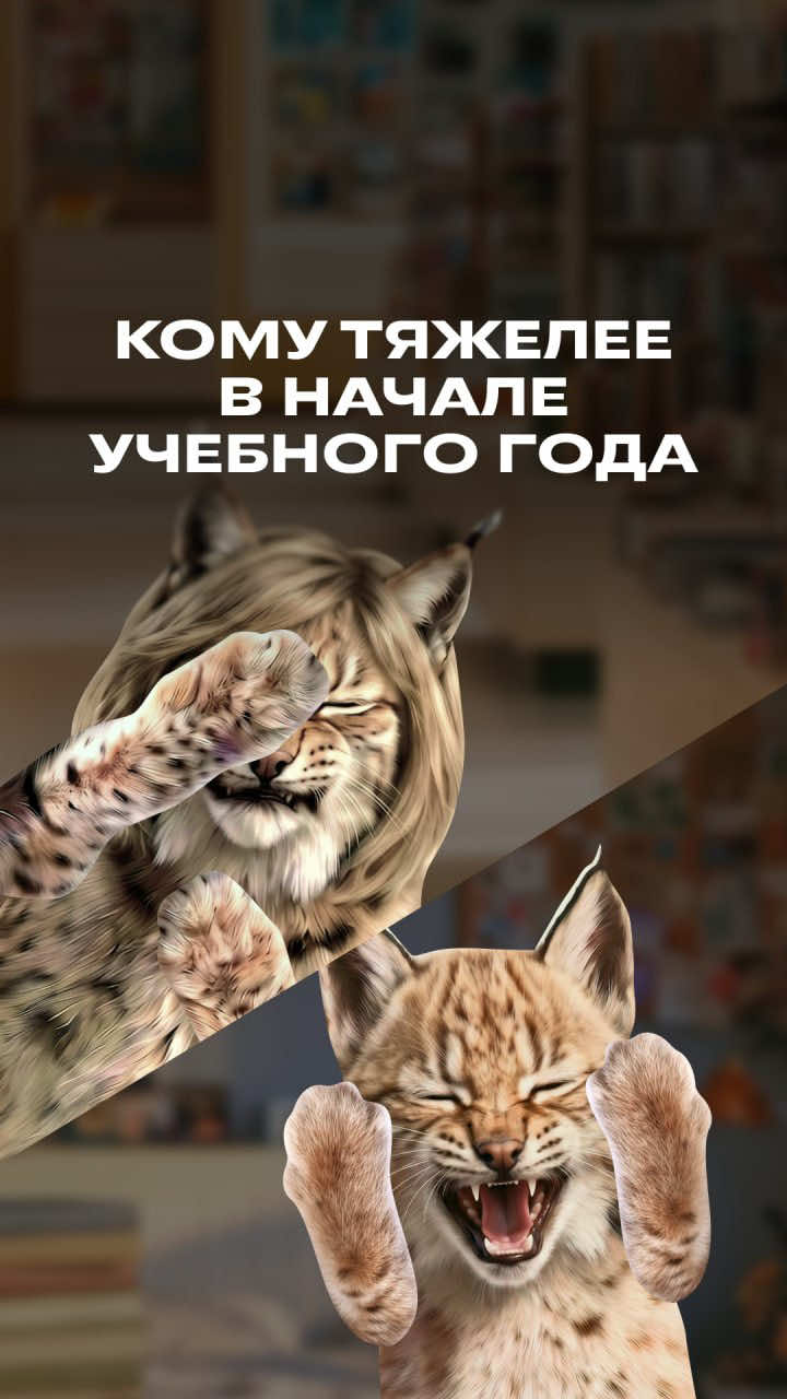 @Фоксфорд