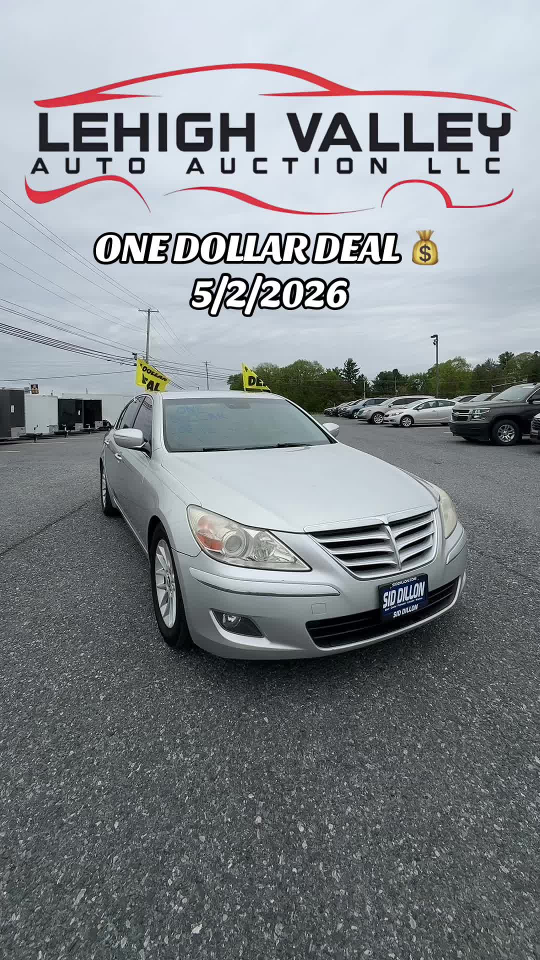@Lehigh Valley Auto Auction