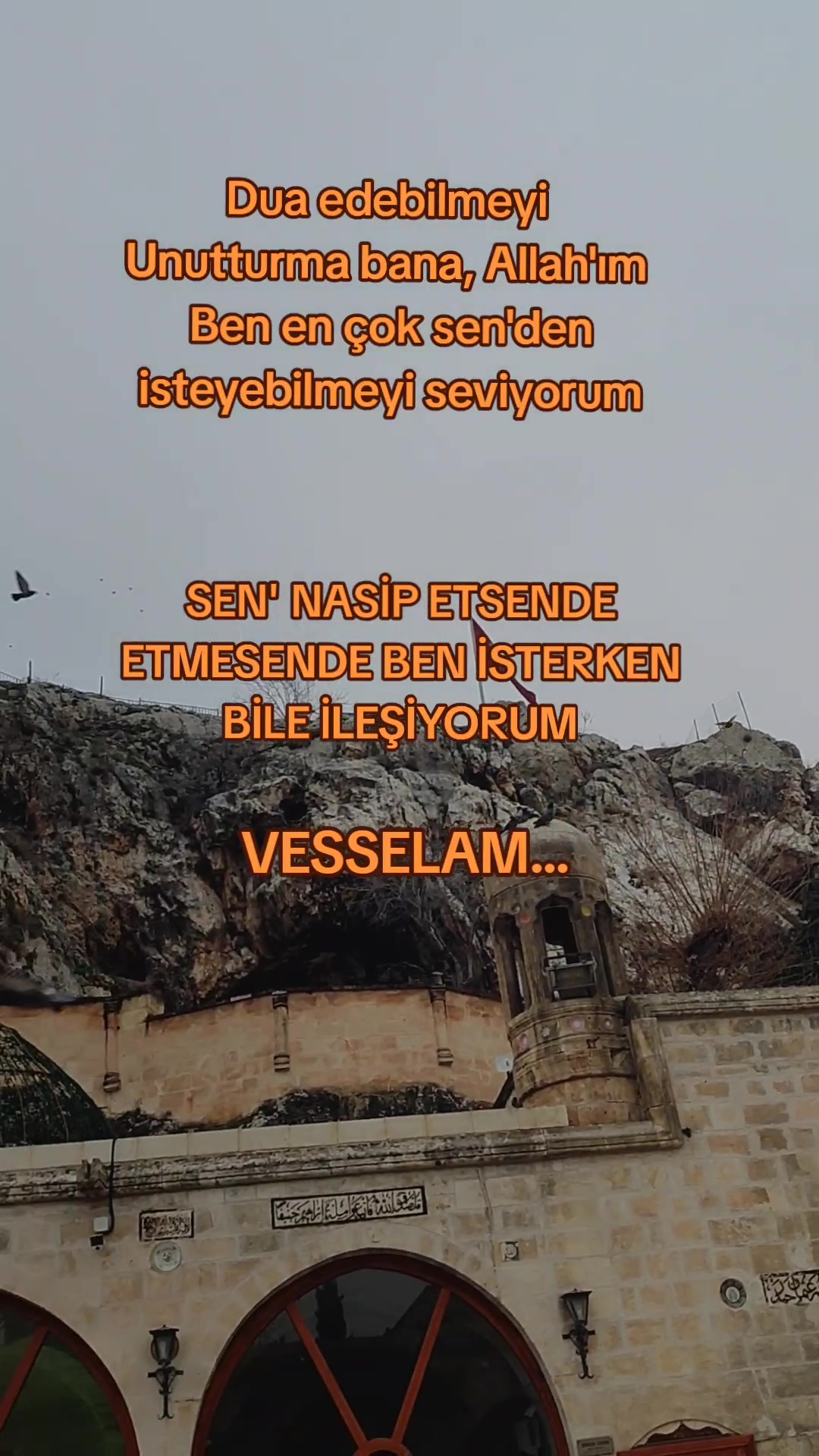 @SABIR YOLU